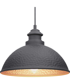 Englewood 1-Light Hanging Lantern Textured Black