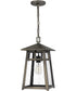 Merle Large 1-light Outdoor Pendant Light  Coastal Armour Aluminum Burnished Bronze