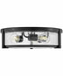 Lowell 3-Light Large Flush Mount in Black with Clear glass
