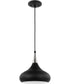 Phoenix 1-Light Pendant Matte Black / Polished Nickel