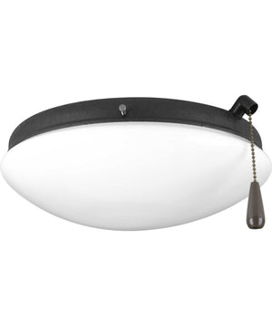 AirPro 2-Light Ceiling Fan Light Forged Black