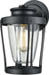Elk Lighting Fullerton 1-Light Outdoor Wall Sconce Matte Black/Clear Glass 460901