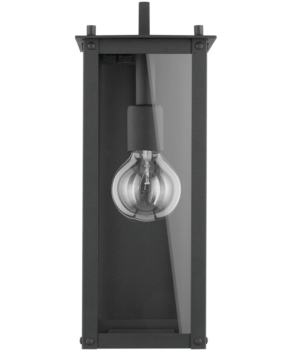 Hunt 1-Light Outdoor Wall Mount Rain or Shine - Black with Clear Glass