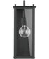 Hunt 1-Light Outdoor Wall Mount Rain or Shine - Black with Clear Glass