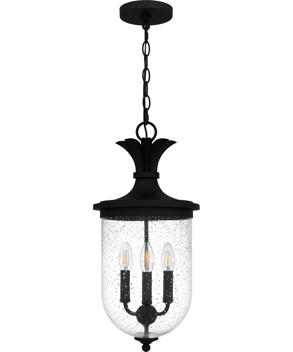 Havana Large 3-light Outdoor Pendant Light Earth Black