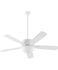 Ceiling Fans with Remotes