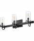 Ryden 3-Light Three Light Vanity in Black