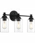 Dardyn 3-Light Vanity Flat Black
