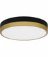 Weldin Small Flush Mount Matte Black Gold