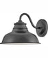 Wallace 1-Light Small Gooseneck Barn Light in Aged Zinc