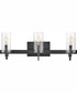 Ryden 3-Light Three Light Vanity in Black