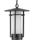 Exton 1-Light Etched Seeded Glass Modern Style Outdoor Hanging Pendant Lantern Textured Black