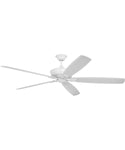 ceiling fan
