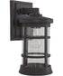 Resilience Lanterns 1-Light Outdoor Lantern Bronze