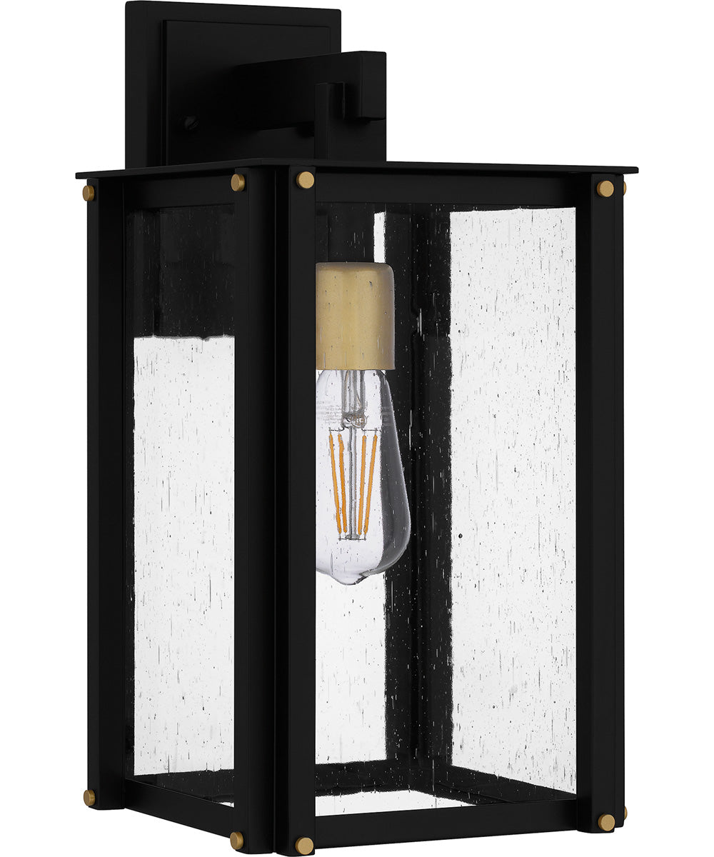 Robbins Medium 1-light Outdoor Wall Light  Coastal Armour Aluminum Matte Black