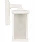 Resilience Lanterns 1-Light Outdoor Wall Lantern Matte White