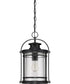 Booker Large 1-light Outdoor Pendant Light Mystic Black