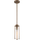 5"W Marina 1-Light Pendant Burnished Brass