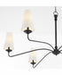 Euphora 6-light Chandelier Matte Black