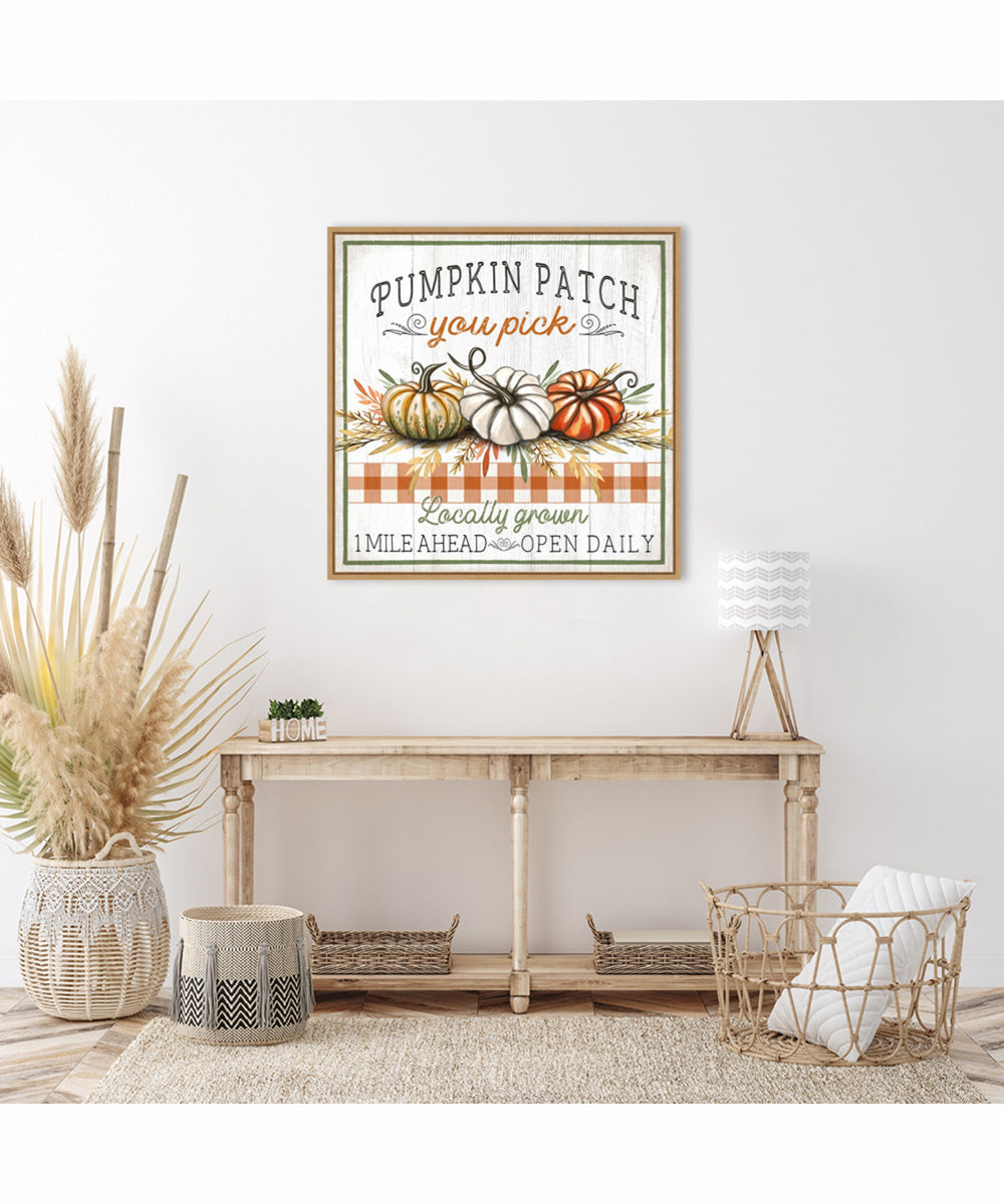 Framed Pumpkin Patch by Elizabeth Tyndall Canvas Wall Art Print (30  W x 30  H), Sylvie Maple Frame