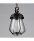 Mariner Medium Outdoor Pendant Black / Antique Brass