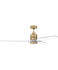 Ceiling Fans and Accessories