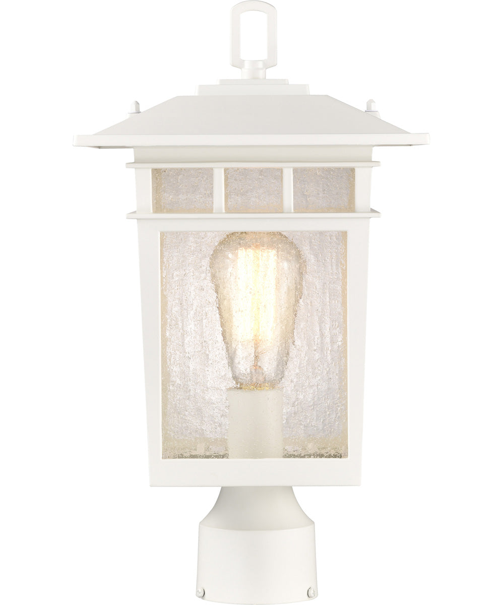 Cove Neck 1-Light Outdoor White