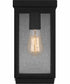 Ezra Small 1-light Outdoor Wall Light Earth Black