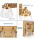 Hinton 2-Light Clear Seeded Glass Farmhouse Bath Vanity Light Vintage Brass