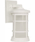 Resilience Lanterns 1-Light Outdoor Wall Lantern Matte White
