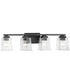 Gilmour 4-Light Modern Farmhouse Clear Glass Bath Vanity Light Matte Black
