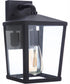 Olsen 1-Light Outdoor Wall Lantern Midnight