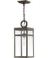 Porter 1-Light Medium Outdoor Hanging Lantern in Oil Rubbed Bronze