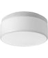 Maier 9" LED Flush Mount White