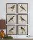 15"H Spring Soldiers Bird Prints Set of 6