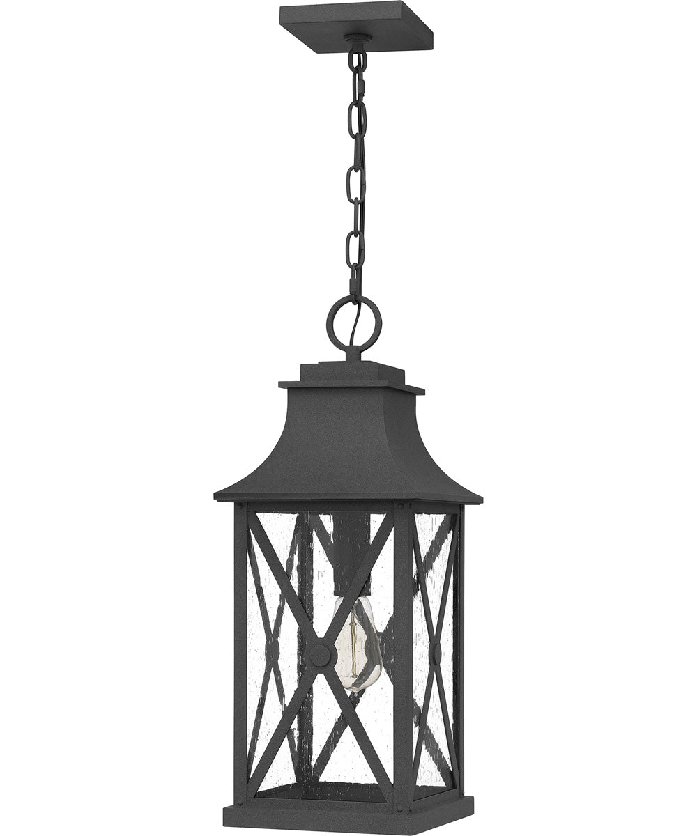 Ellerbee Large 1-light Outdoor Pendant Light  Coastal Armour Aluminum Mottled Black