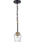 Avante Grand 1-Light Mini Pendant Flat Black/Satin Brass