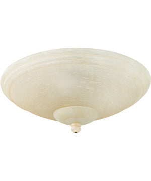 Universal Bowl Light Kit 2-Light LED Fan Light Kit Antique Linen