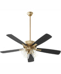 ceiling fan