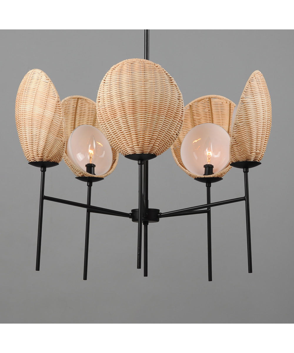 Maldives 5-Light Chandelier Black