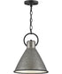 Winnie 1-Light Small Pendant in Rustic Pewter