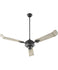Large Ceiling Fans