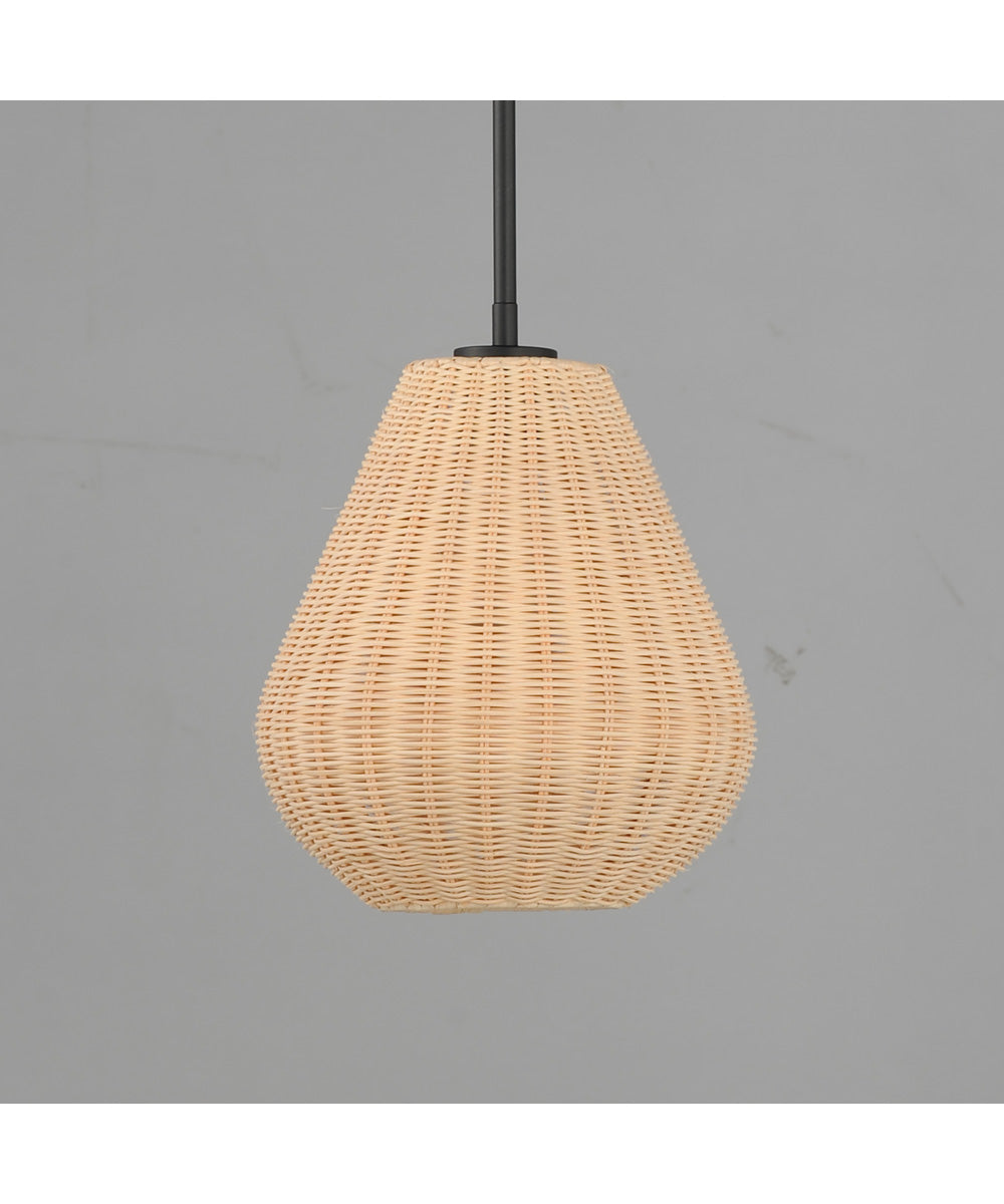 Maldives 1-Light Pendant Black