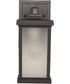 Resilience Lanterns 1-Light Outdoor Wall Lantern Bronze