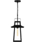 Devonport Large 1-light Outdoor Pendant Light Matte Black