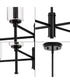 Elara 4-Light New Traditional  Chandelier Light Matte Black
