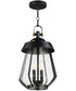 Mariner Large 2-Light Outdoor Pendant Black / Antique Brass