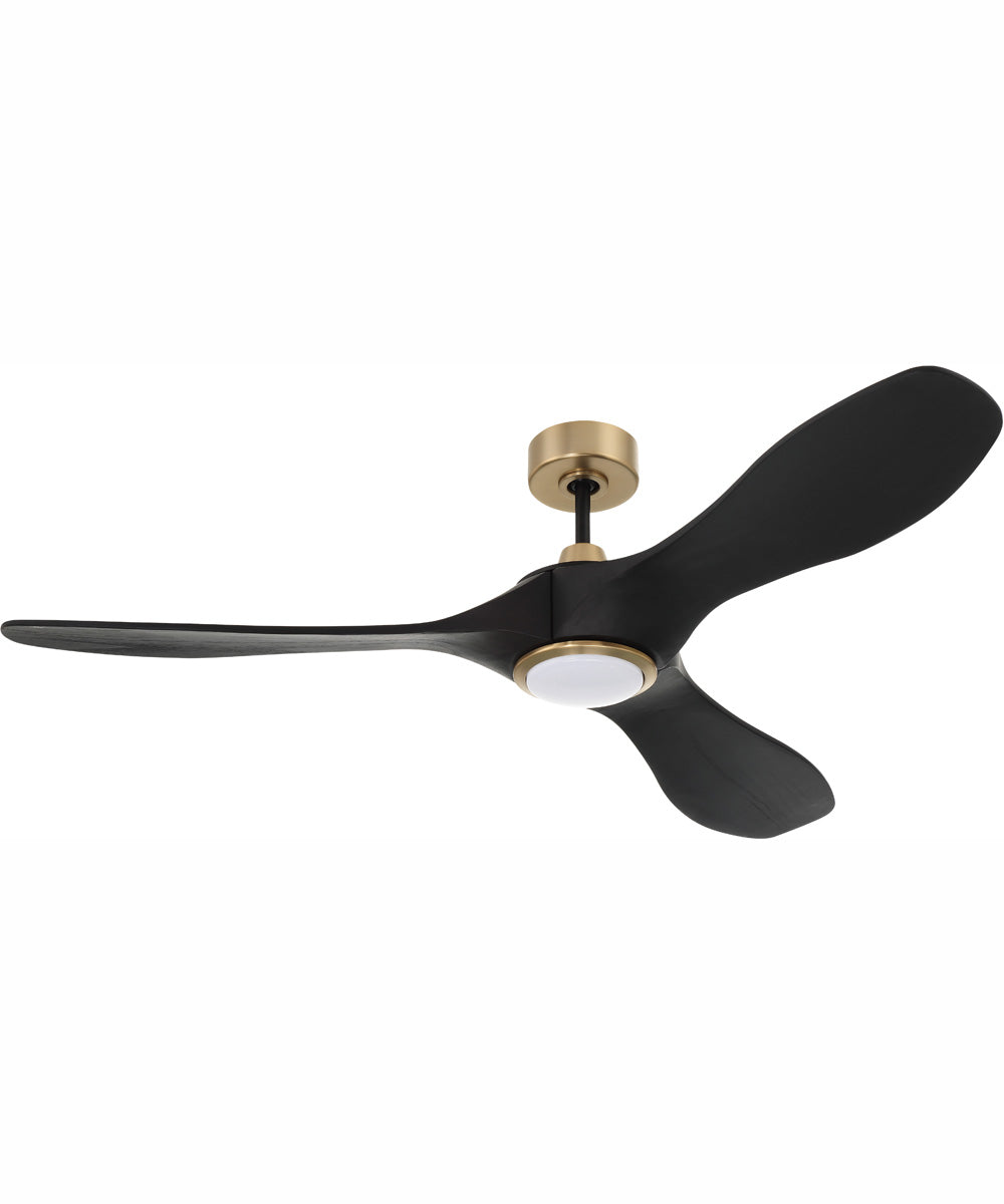 60" Envy 1-Light Indoor/Outdoor Ceiling Fan Flat Black/Satin Brass