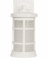 Resilience Lanterns 1-Light Outdoor Wall Lantern Matte White