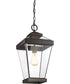 Ravine Small 1-light Mini Pendant Western Bronze